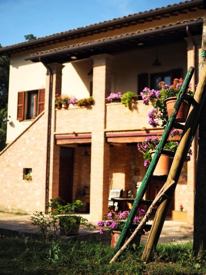 Arcadia Villa Spello Ngoại thất bức ảnh